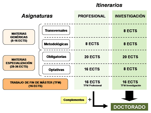 Estructura Master